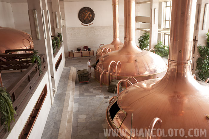 Ручная загрузка хмеля. Ческе-Будеевице. Чехия.