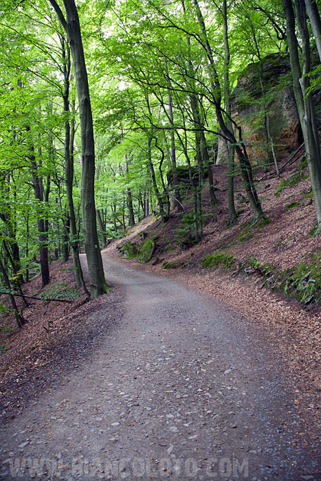 Кокоржин. Чехия.