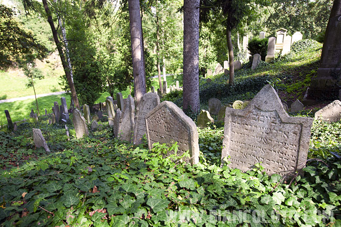 Еврейское кладбище. Тршебич. Чехия.