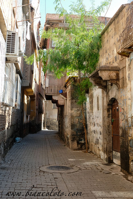 Суричи. Диярбакыр