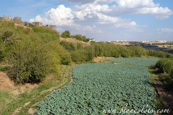 Сады Хевсель. Диярбакыр