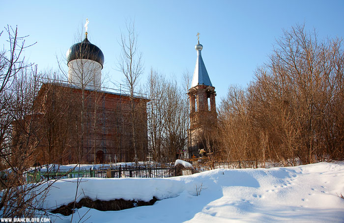 Медведева пустынь (Медвежья пустынь)