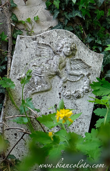 Кладбище в Дольяни