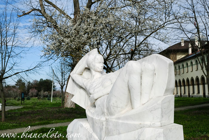  Караагач. Эдирне