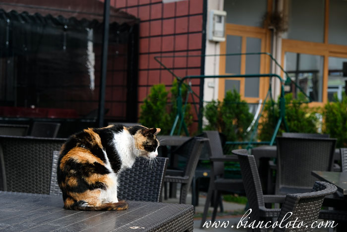 Квартал Караагач. Эдирне