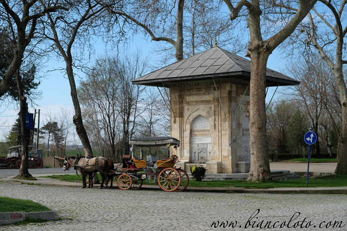 Караагач. Эдирне