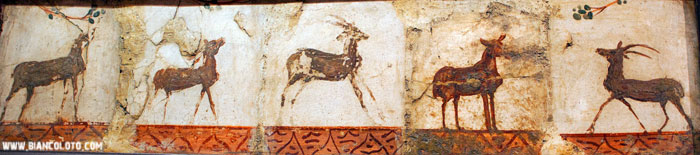 Геркуланум