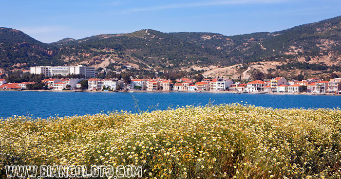 Фоча. Турция.