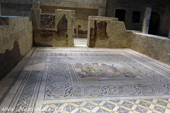 Музей мозаики Зевгма 