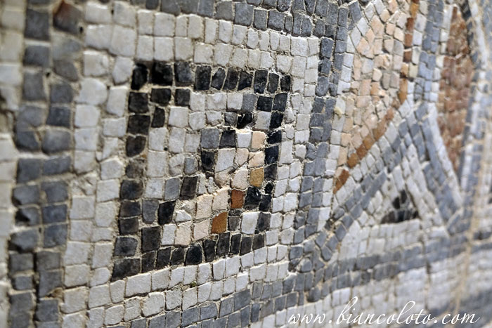 Музей мозаики Зевгма 