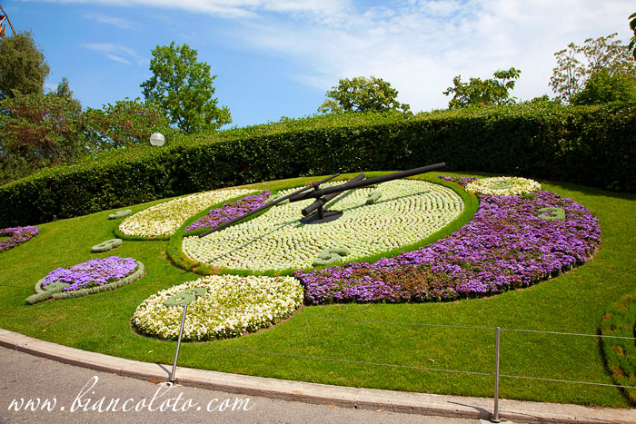 Цветочные часы