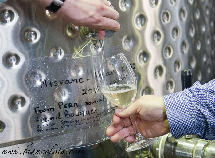 Винный погреб Giuaani