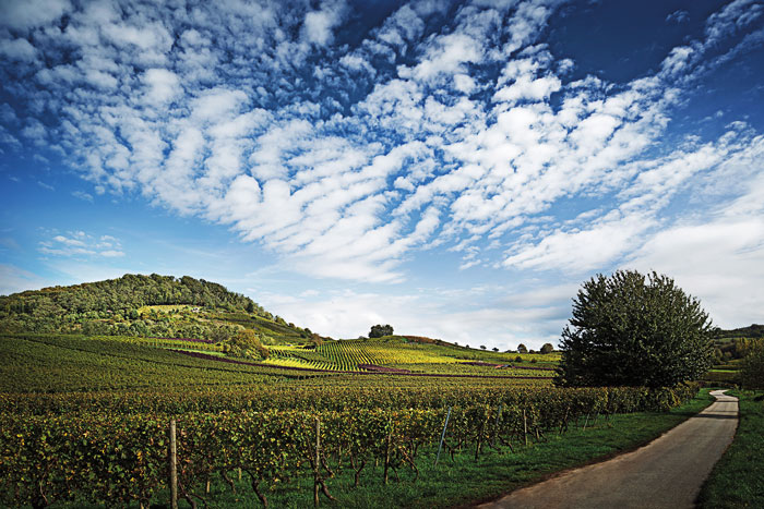 Гессенская горная дорога 