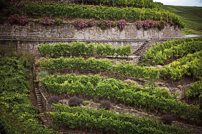 Вюртемберг 