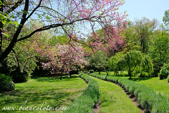 Сад Нинфа (Giardino di Ninfa)