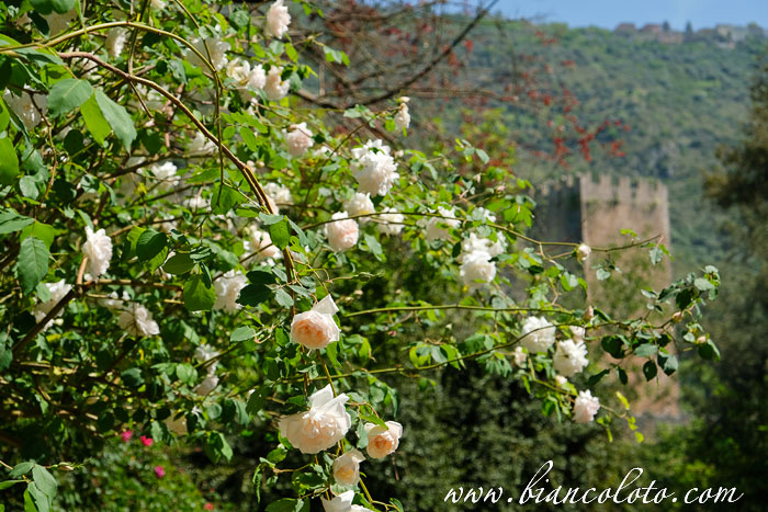 Сад Нинфа (Giardino di Ninfa)