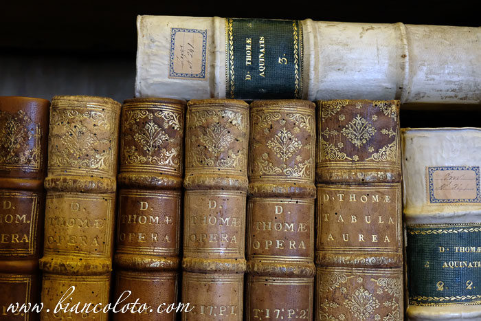 Библиотека