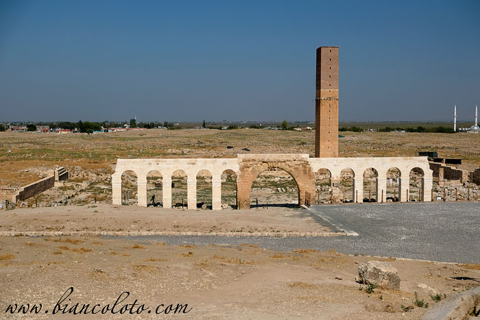 Курган Харран