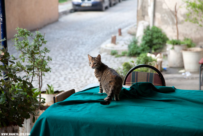 Стамбул, Султанахмет