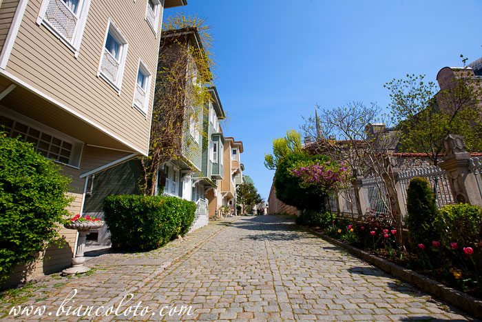 Улица Согукчешме