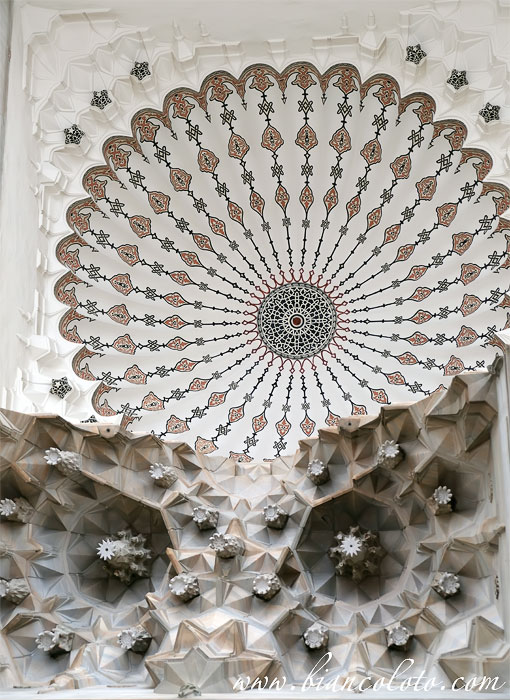 Сова Синана 