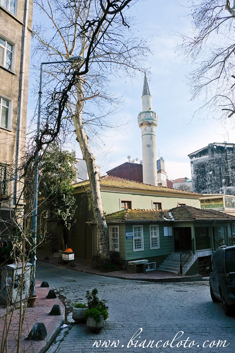 мечеть Мухиттина Молла Фенари 