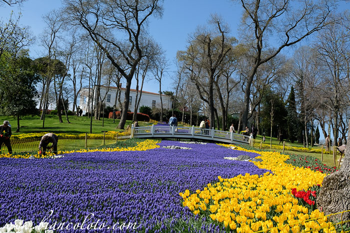Парк Эмирган. Сарыер. Стамбул