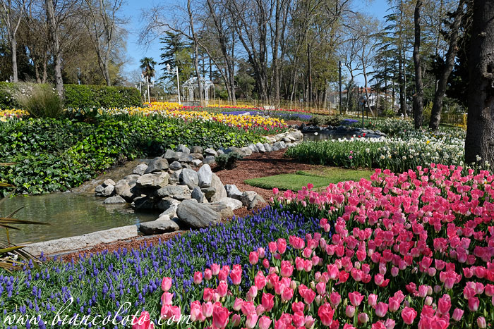Парк Эмирган. Сарыер. Стамбул