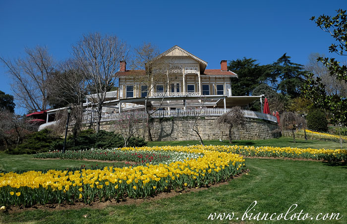 Желтая вилла в парке Эмирган. Сарыер. Стамбул