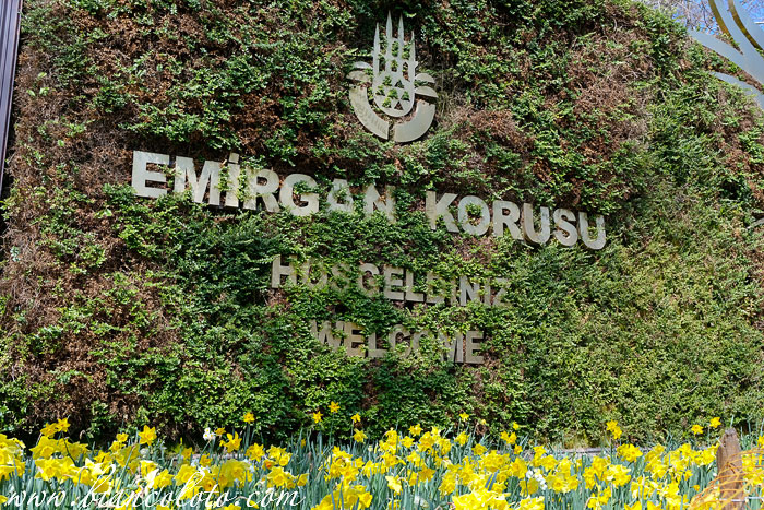 Парк Эмирган. Сарыер. Стамбул