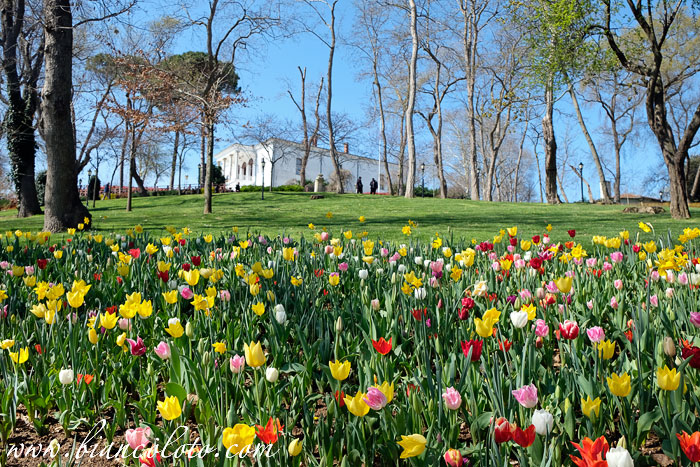 Парк Эмирган. Сарыер. Стамбул