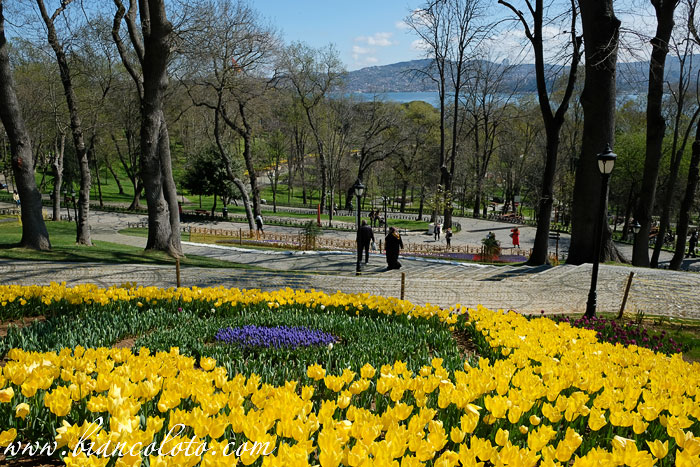 Вид на Босфор из парка Эмирган. Сарыер. Стамбул