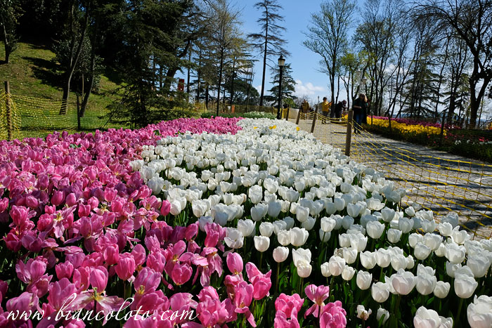 Парк Эмирган. Сарыер. Стамбул