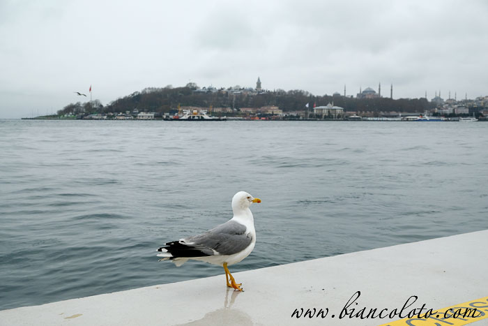 Галатапорт в Стамбуле