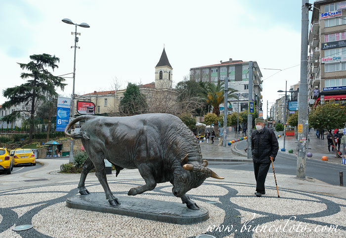 Бык в Кадыкёй