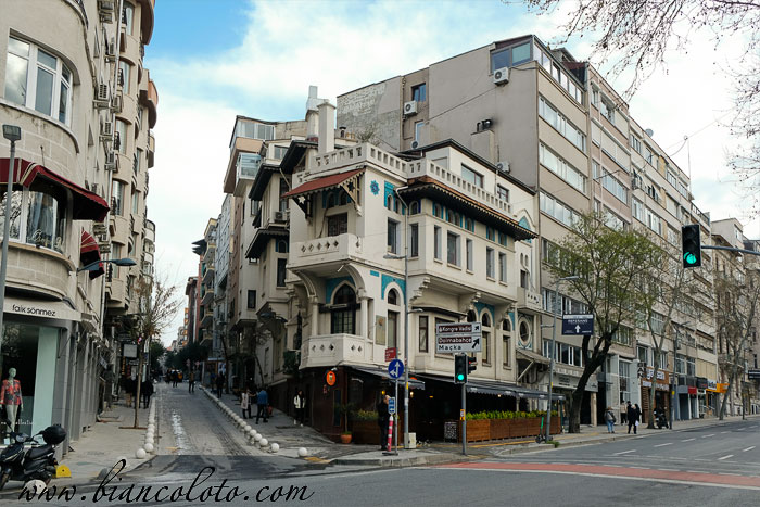 Дом Ведата Тека