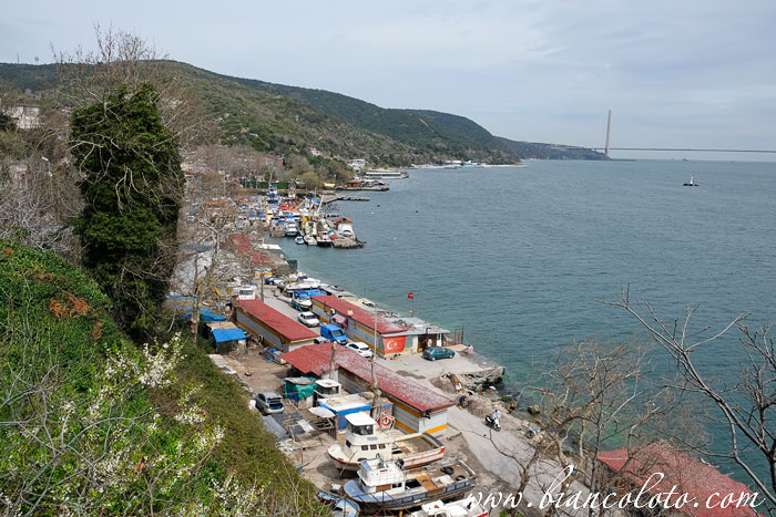 Румеликаваги