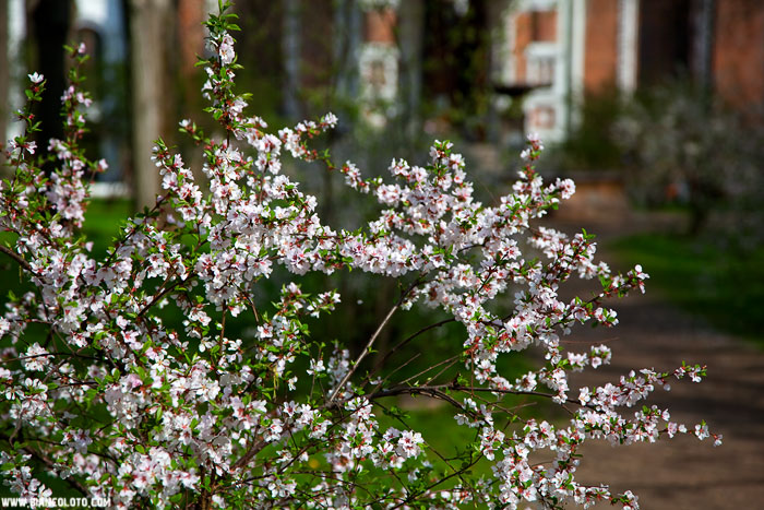 Усадьба Измайлово