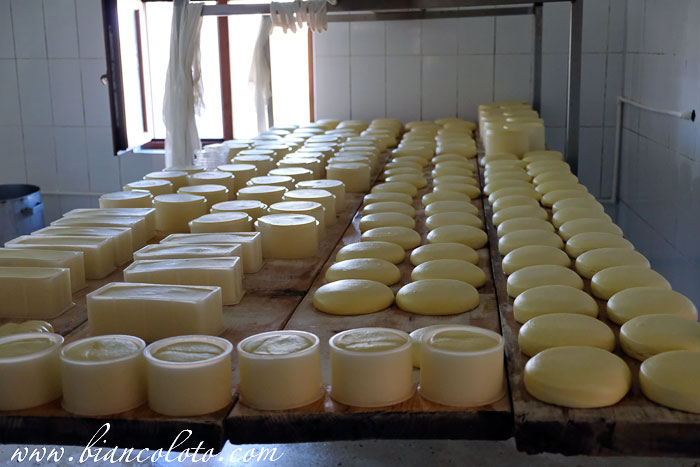 Сыроварня Кочулу. Богатепе. Карс