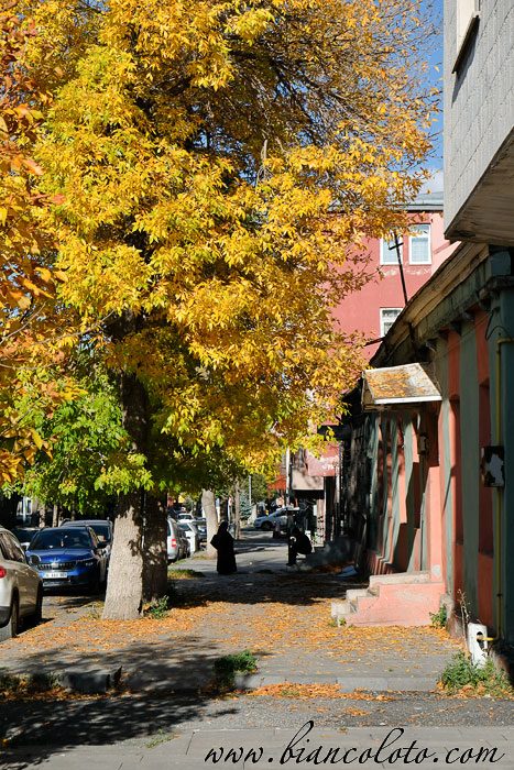 Золотая осень в Карсе