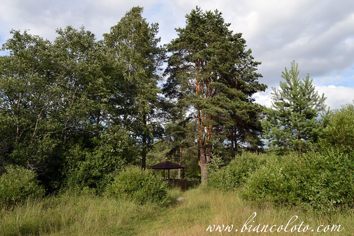 Источник иконы Пресвятой Богородицы Неопалимая Купина