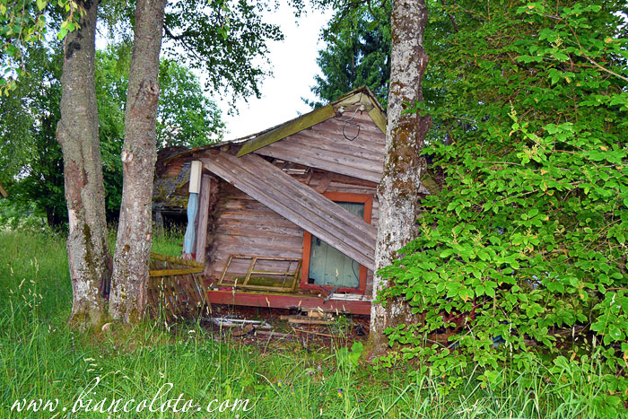 Заброшенный дом в окрестностях Кувшиново