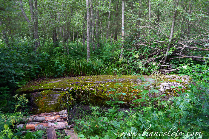 Серый камень