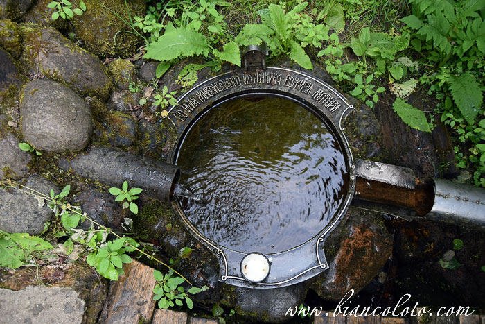 Живоносный источник Божией Матери