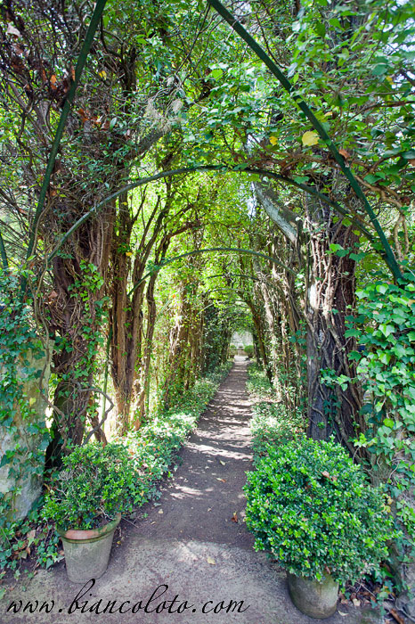 Ла Скарцуола (La Scarzuola)