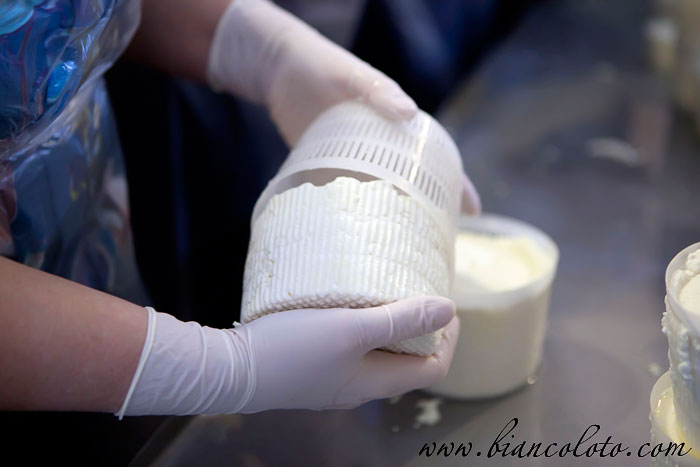 Производство сыра