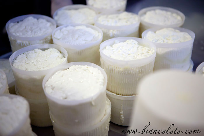 Производство сыра