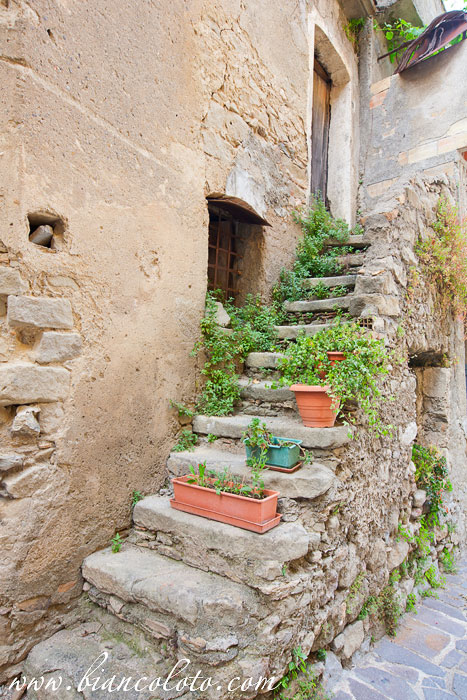 Антонимина