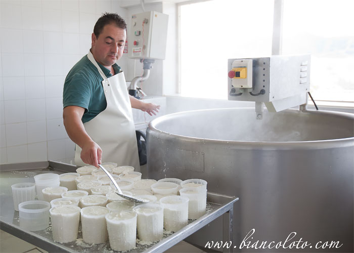 Производство рикотты