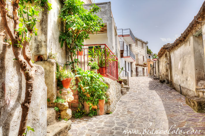 Улица Чимины